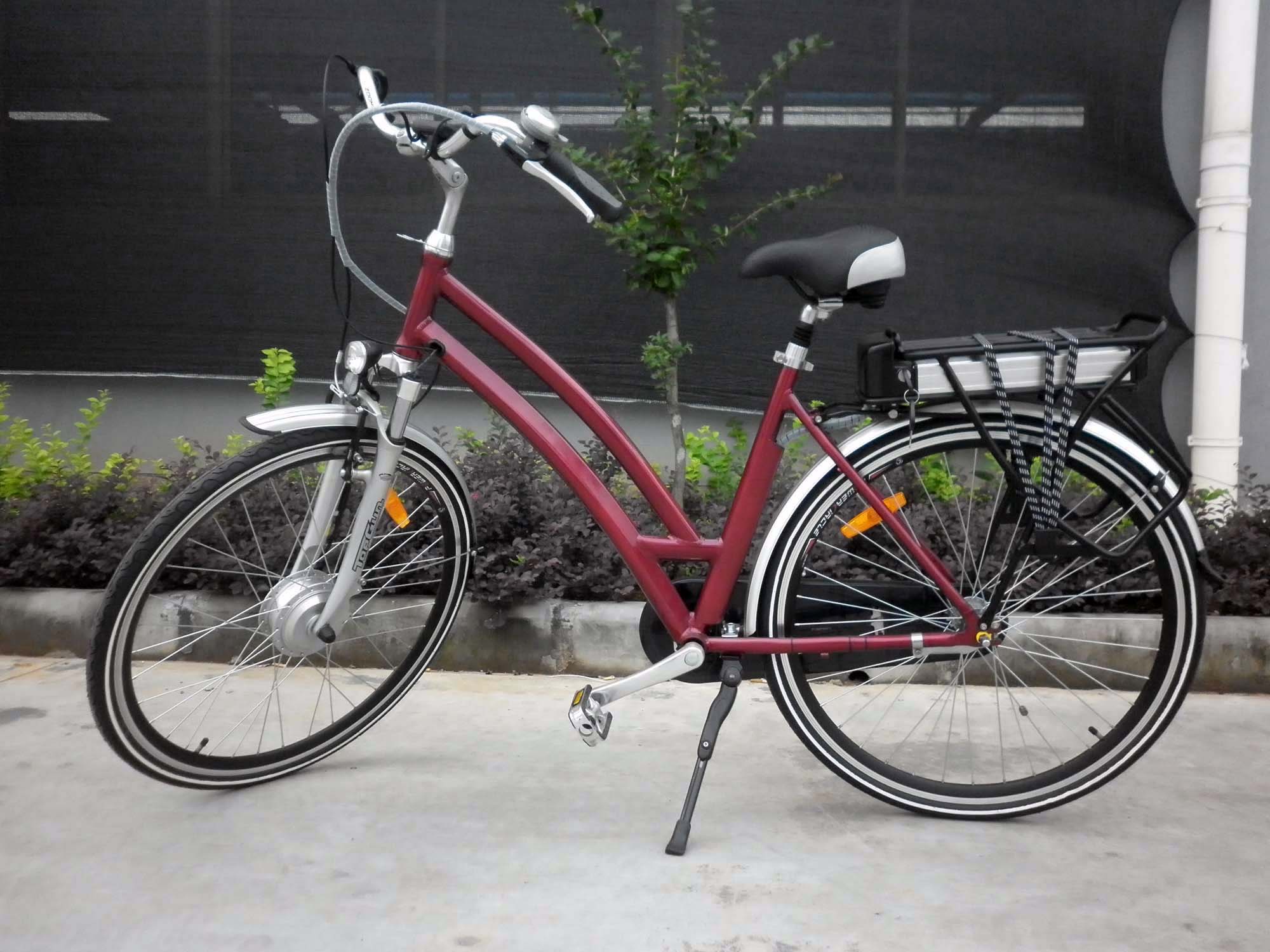   Elektrofahrrad 13 Modelle 36V 10A Li Ion Damen Herren MTB Holland